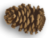 Captcha image 8659